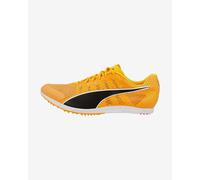 Puma EvoSPEED Distance 11 Shoes Yellow Black - 43