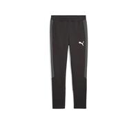Puma Mens Evostripe Sweatpants Drycell Tracksuit Bottoms 675932 - L