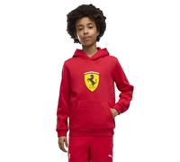 Puma Ferrari Colored Shield Hoodie