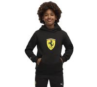 Puma Ferrari Colored Shield Hoodie