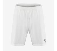 Puma FINAL evoKNIT Shorts
