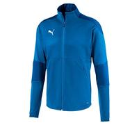 PUMA Men's Teamfinal 21 Training Jacket Track Jacket M Electric Blue Lemonade-te