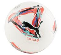 Puma Football Football Equipment Ball Adult White
