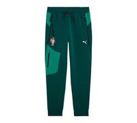 PUMA FPF Portugal PUMATECH Track WV Men's Tracksuit Bottoms