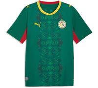 PUMA FSF Away Jersey Replica