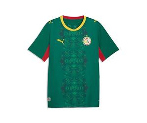 PUMA FSF Away Jersey Replica