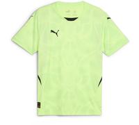 Puma Goalkeeper Short Sleeve Shirt Adults XL Green