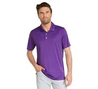 Puma Golf Men's Gamer Polo, Tillandsia Purple, XL