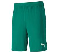 PUMA Herren Teamfinal 21 Knit Shorts, blau, XS