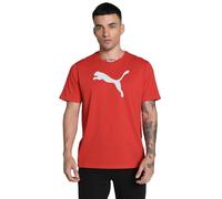 Puma Herren Teamrise Logo Jersey Baumwolle T-Shirts