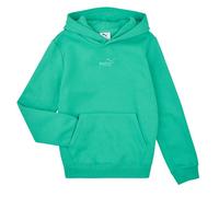 Puma Hoodies ESS Small No.1 Logo Centered Hoodie FL in Green 15 / 16 years