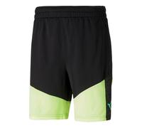 PUMA Individual CUP Football Training Shorts 'Black' 658293-51 L