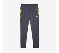 Puma Individual CUP Training Pants Galactic Gray