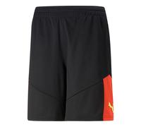 PUMA Individual FINAL Shorts 'Black' 658042-48 XL