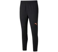 Puma Individual FINAL Training Pants M 657954 45