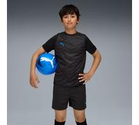 PUMA Individualcup Football Jersey Youth, Black/White/Ultra Blue, size 5-6 Youth