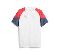 PUMA individualCUP Jersey