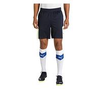 PUMA individualFINAL Training Shorts