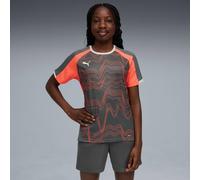 PUMA Individualliga Graphic Football Jersey Youth, Shadow Grey/White/Glowing Red, size 15-16 Youth