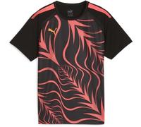 PUMA Unisex Individualliga Graphic Jersey Jr Tee, Puma Black-Sunset Glow, 152 EU
