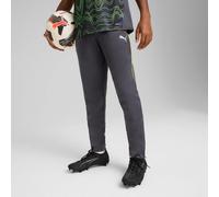 PUMA Individualliga Training Pants Youth, Galactic Grey/Yellow Alert, size 11-12 Youth