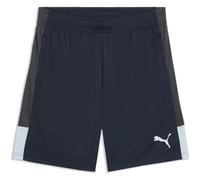 PUMA IndividualLIGA Training Shorts