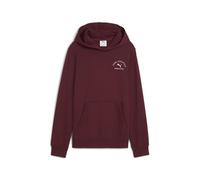 PUMA Jungen Class Graphic Hoodie Tr B Sweatshirt (1er Pack)