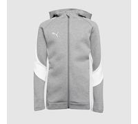 Puma Junior teamEVOSTRIPE 25 Slim Hooded Jacket