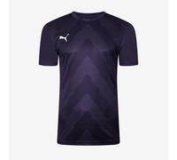 Puma Junior teamGLORY SS Shirt
