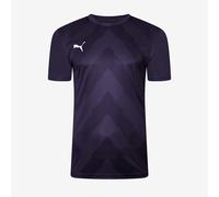 Puma Junior teamGLORY SS Shirt