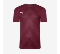 Puma Junior teamGLORY SS Shirt