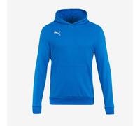 Puma Junior teamGOAL 23 Casuals Hoodie