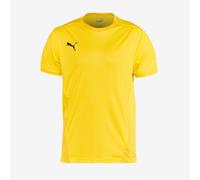 Puma Junior teamGOAL 23 SS Shirt