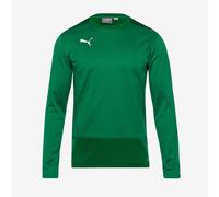 Puma Junior teamGOAL 23 Training Sweatshirt
