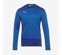 Puma Junior teamGOAL 23 Training Sweatshirt