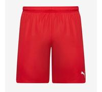 Puma Junior teamGOAL 24 Shorts