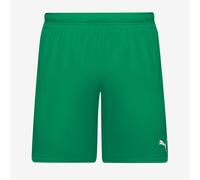 Puma Junior teamGOAL 24 Shorts