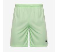 Puma Junior teamGOAL 24 Shorts