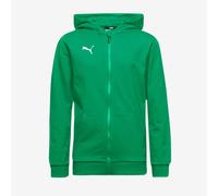 Puma Junior teamGOAL 25 Casuals Hooded Jacket