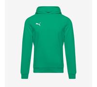 Puma Junior teamGOAL 25 Casuals Pullover Hoodie Sport Green Puma White