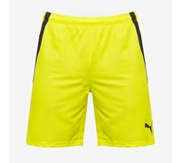 Puma Junior teamLIGA Shorts