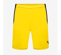 Puma Junior teamLIGA Shorts