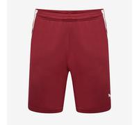 Puma Junior teamLIGA Shorts
