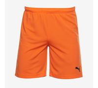 Puma Boys teamRISE Training Shorts Golden Poppy/Puma Black 11/12Y