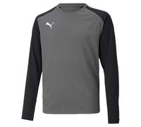 Puma Kids Unisex T-Shirt Teampacer Gk Ls Jersey Jr - Grey - Size 5-6Y