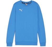 Puma Kinder Crew Sweatshirt TeamGoal CasuaLongsleeve Crew Neck Sweat Jr 658593
