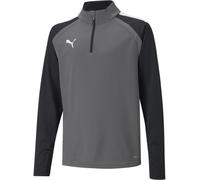 Puma Kinder Crew Sweatshirt TeamLIGA 1/4 Zip Top Jr 657237