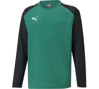 Puma Kinder Crew Sweatshirt TeamLIGA Training Sweat Jr 657239