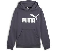 Puma Kinder ESS Big Logo Hoodie FL B 586965