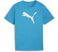 Puma Kinder Shirt TeamRISE Logo Jersey Cotton Jr 658707